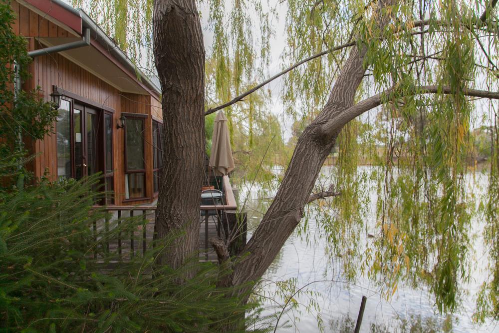 Hotel Perricoota Vines Retreat Moama Habitación foto